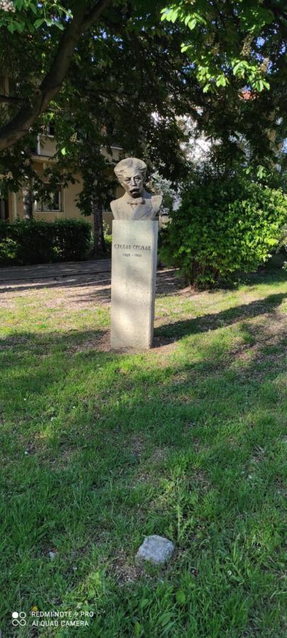 Stevan Sremac Soko Banja Bagian luar foto