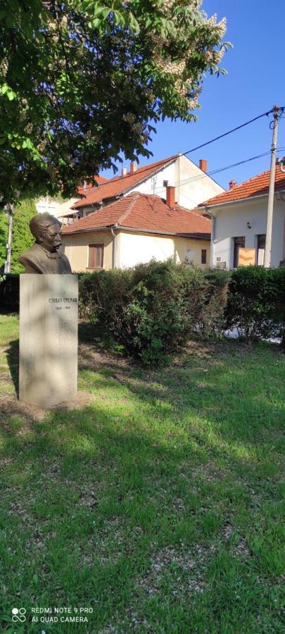 Stevan Sremac Soko Banja Bagian luar foto