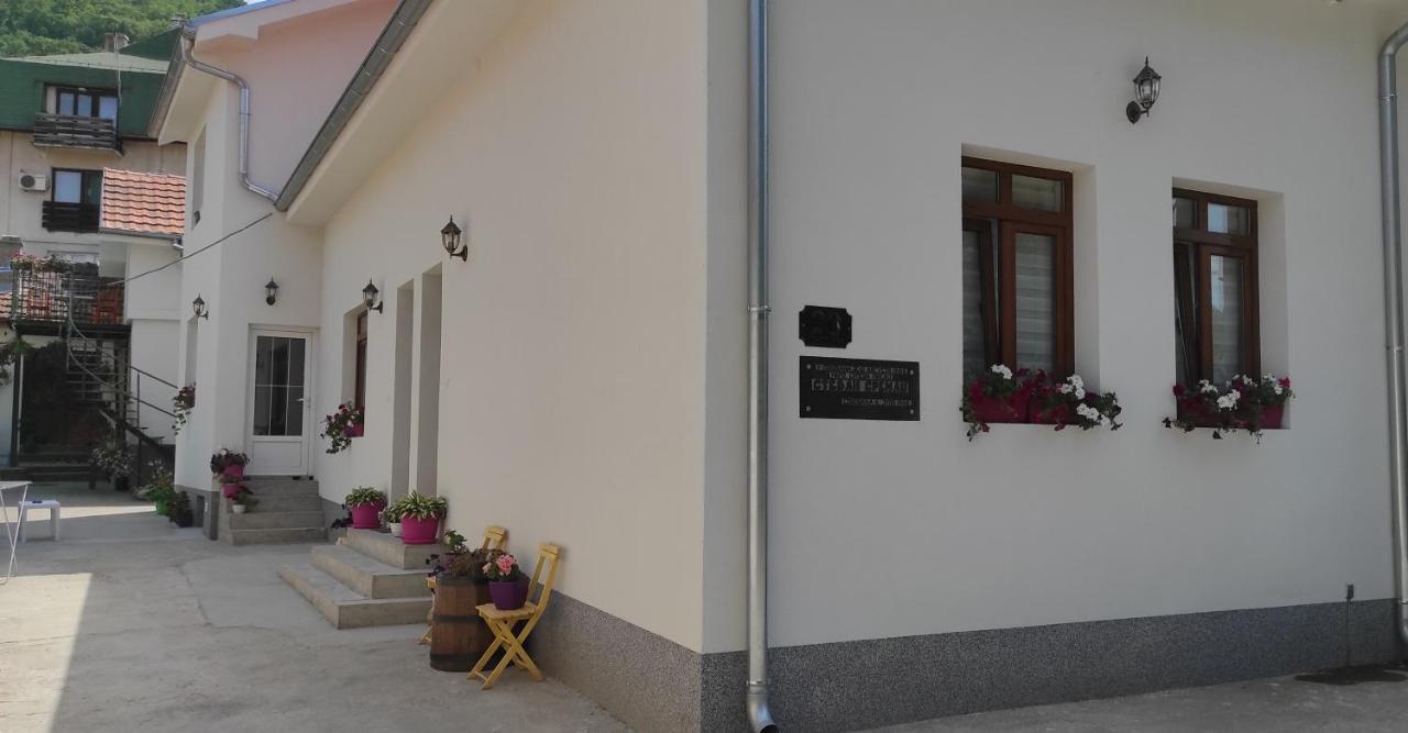 Stevan Sremac Soko Banja Bagian luar foto